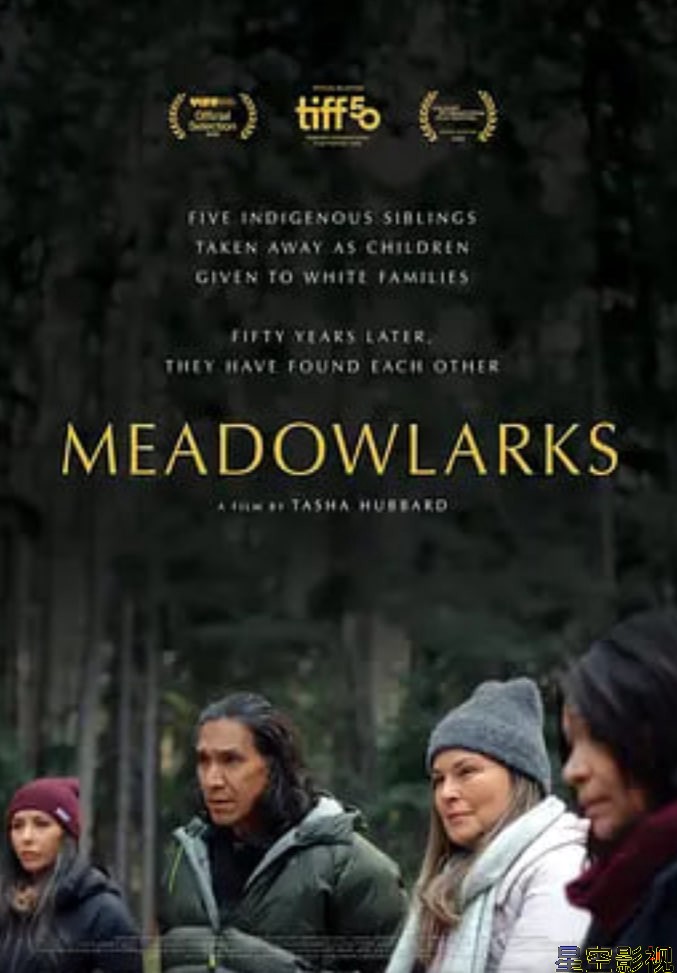 草原云雀